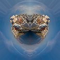 5 images -Smartblend copie